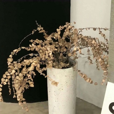 兽设表情绘制技巧兽圈群